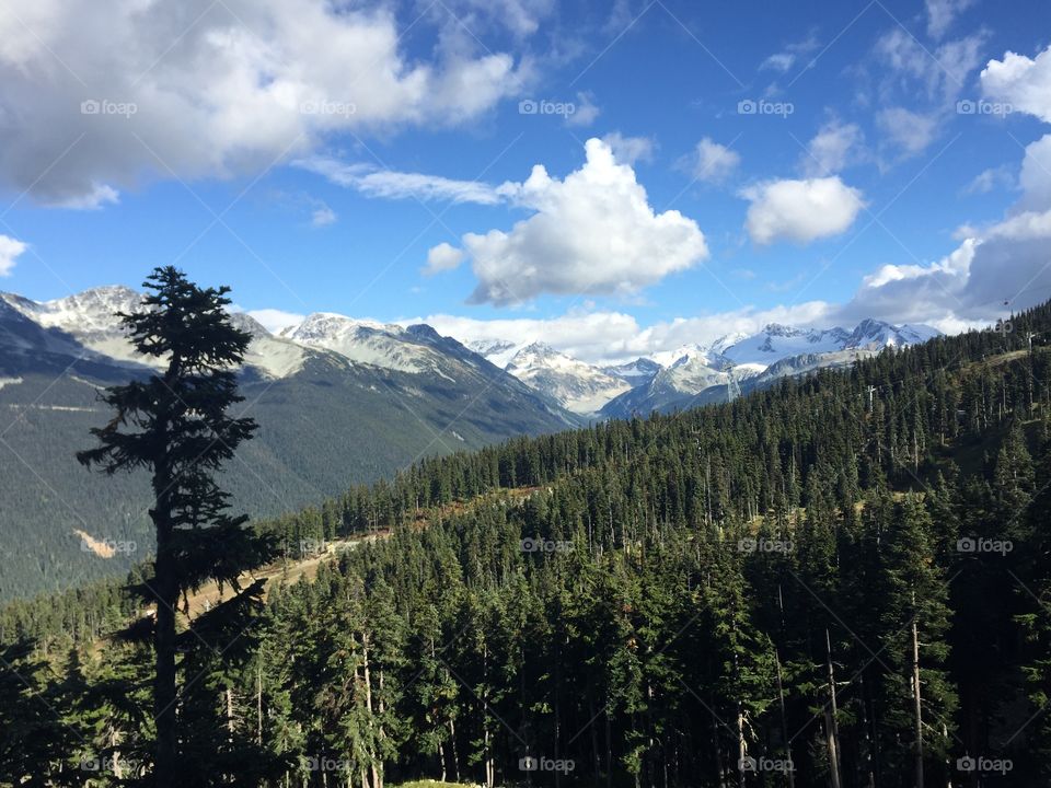 Whistler scenery 
