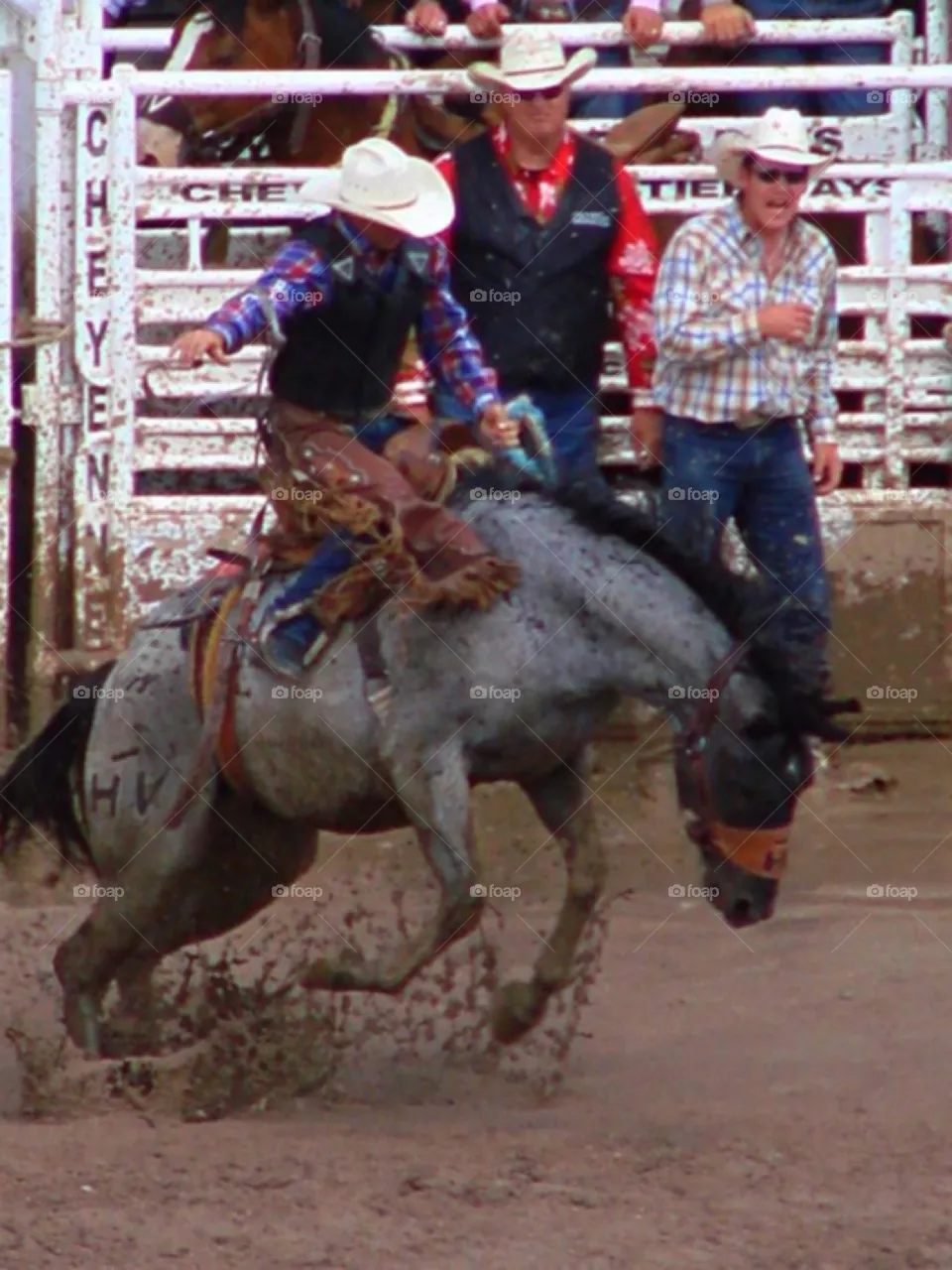 Bronco