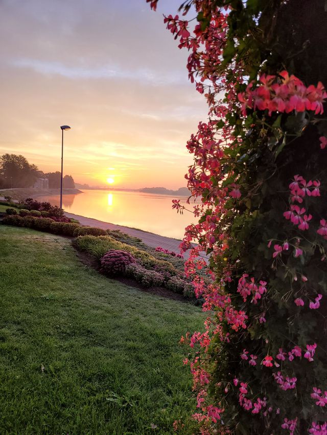 nature