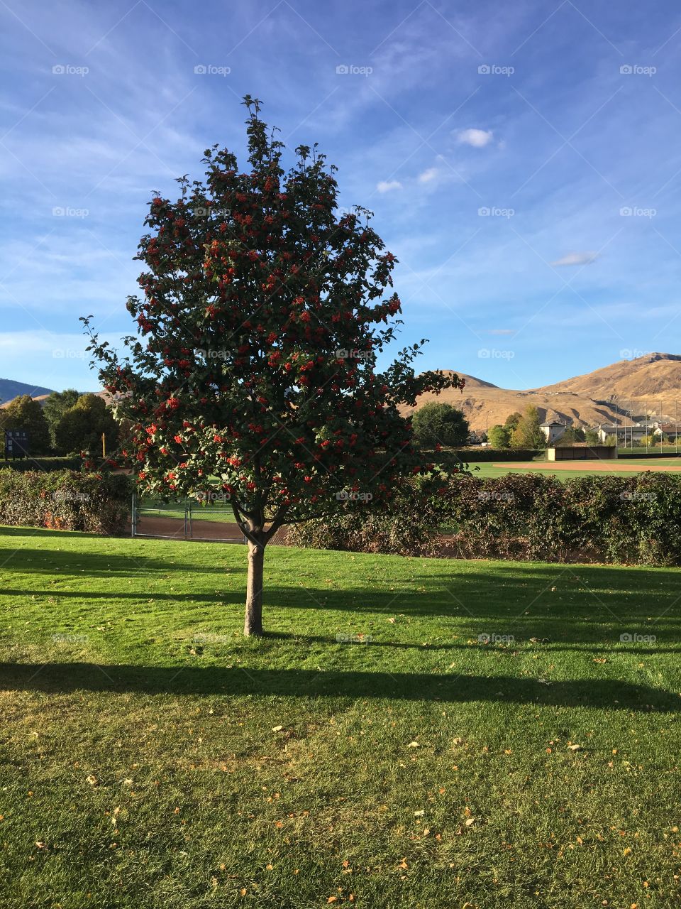 Beautiful summer day 