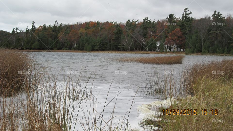 Northern Michigan 