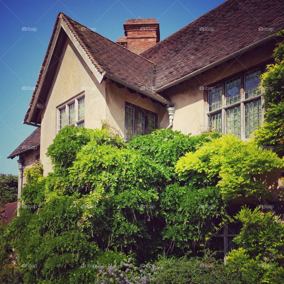 House . Country house 