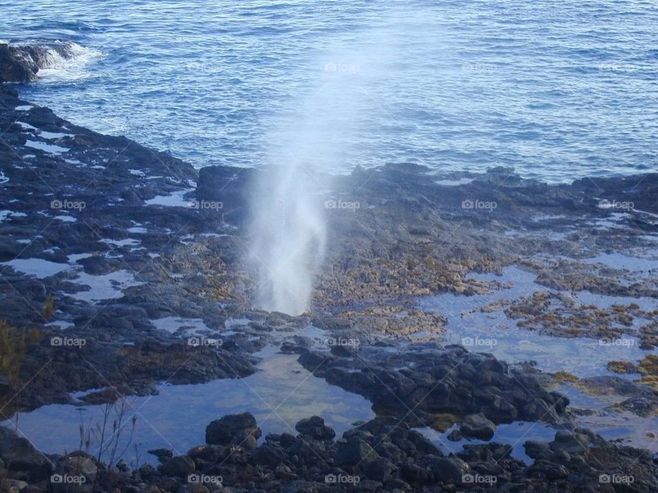 Kauai Geiser