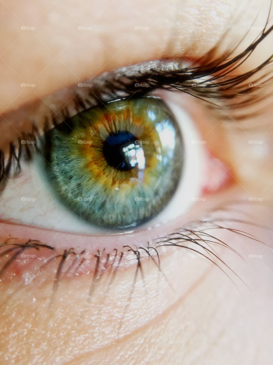 Close-up of green eyes