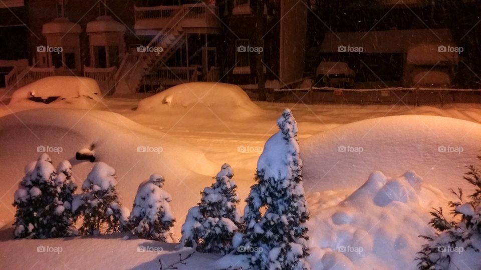 Cars parked in a street, completely covered with snow, after a  snowstorm