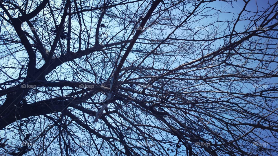 sky