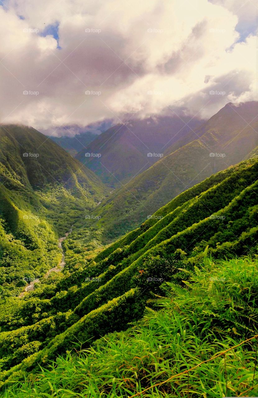 Misty mountains in Maui Hawaii