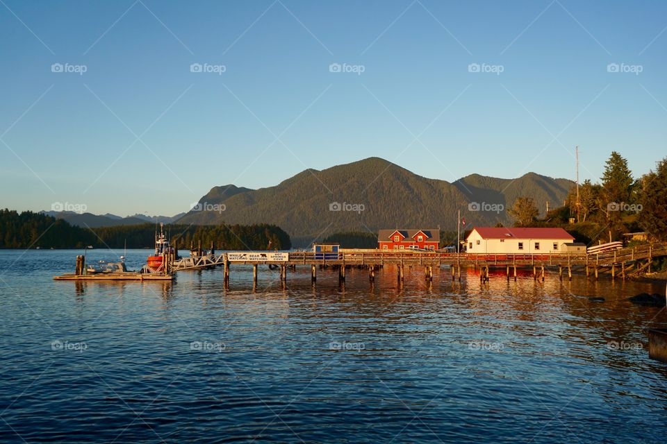 Beautiful Canadian Landscape ... enjoyed a walk and took this photo as the light was unusual ...