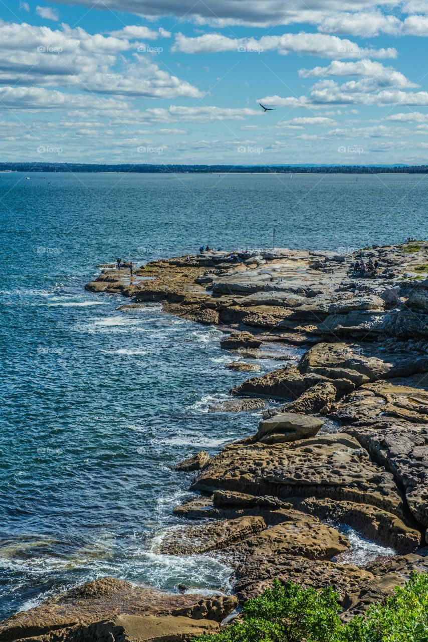 Scenic view of beach