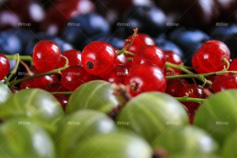 Bright delicious berries