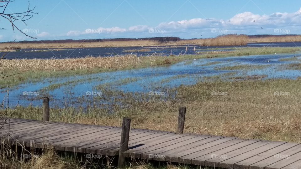 Tåkern lake, Östergötland, Sweden