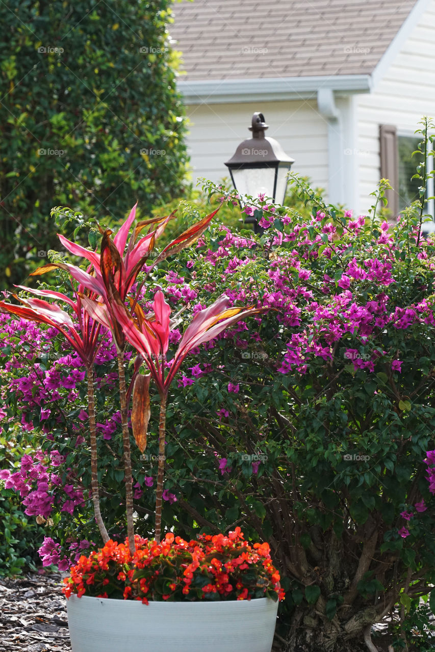 Enjoying a flowering landscape