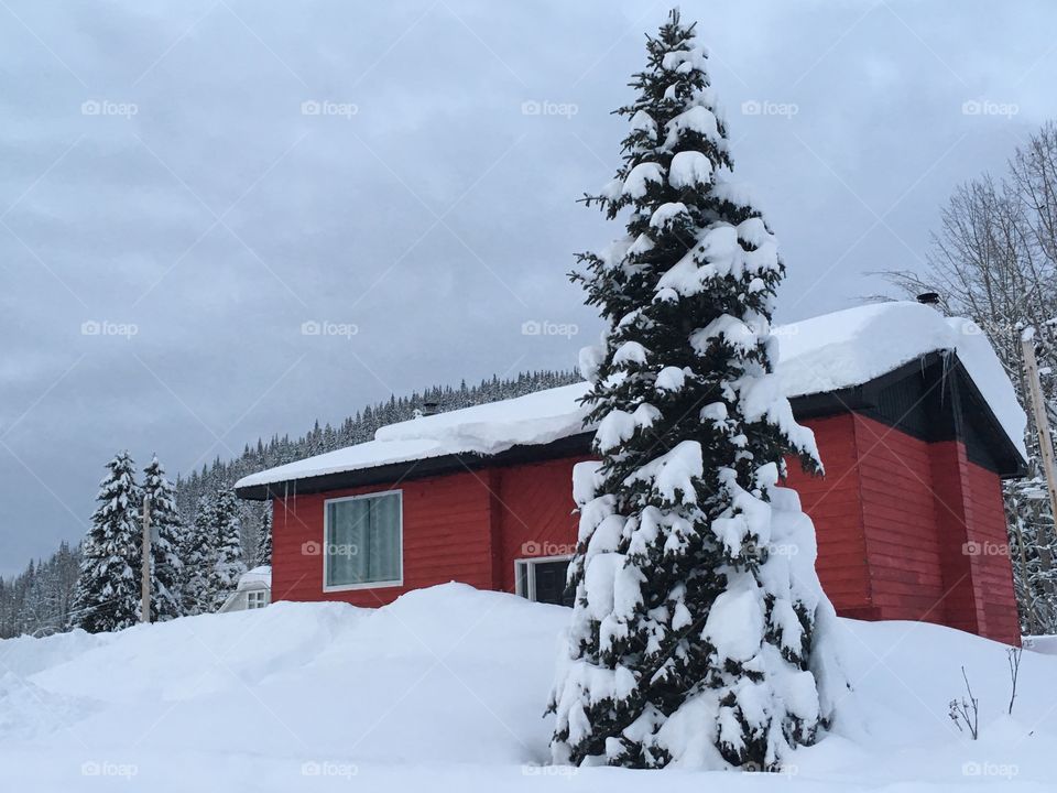 Snow covered house in February in Wells Bc. 