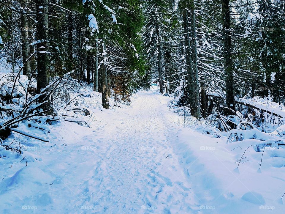 snowy road