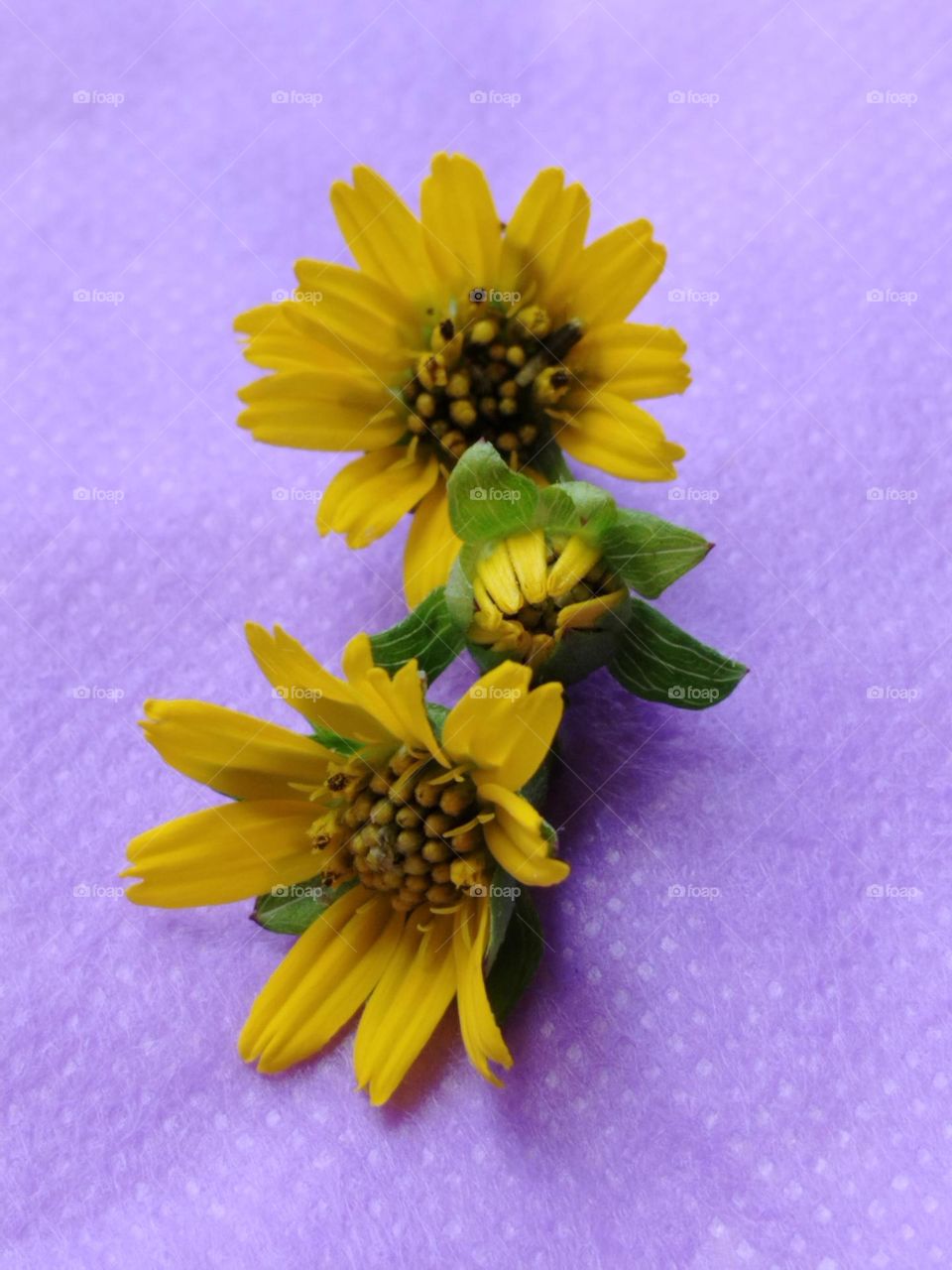 Capture of power colour