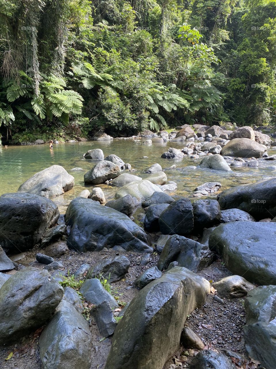 Natural pool in rainforest 