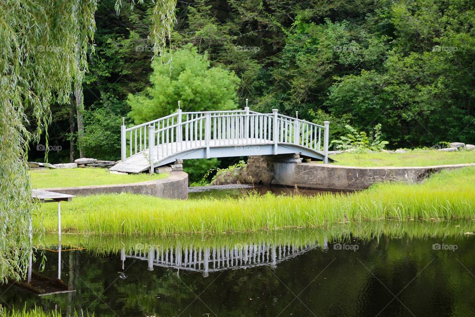 Reflecting Bridge