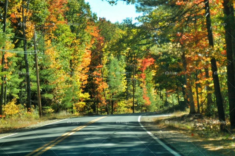 Fall in Maine