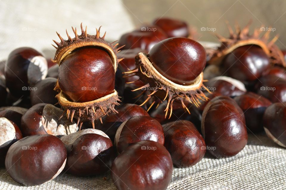 chestnuts close up