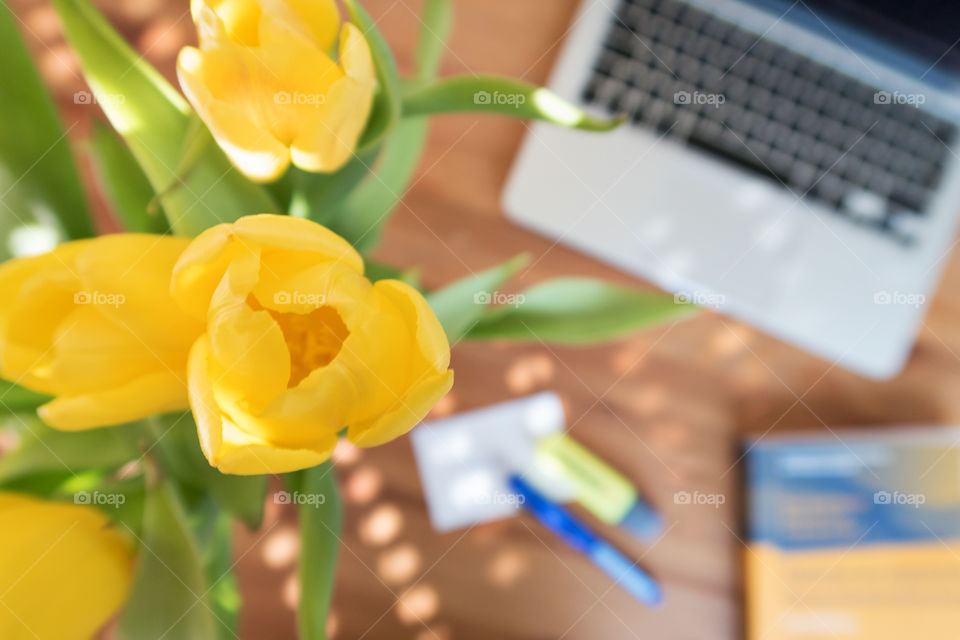 Tulips and working 