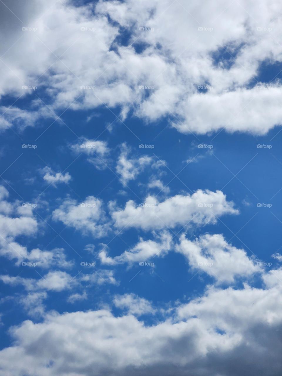 natural blue sky day in Oregon with drifting white fluffy clouds