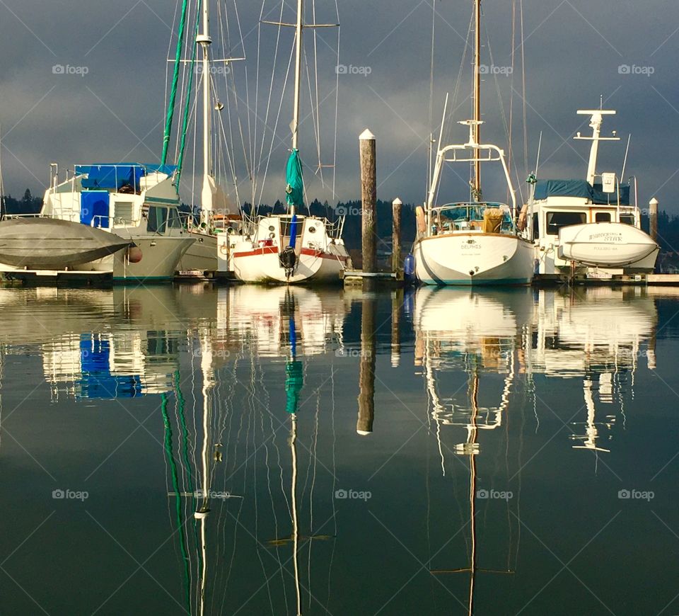 Winter Morning Serenity at the Marina