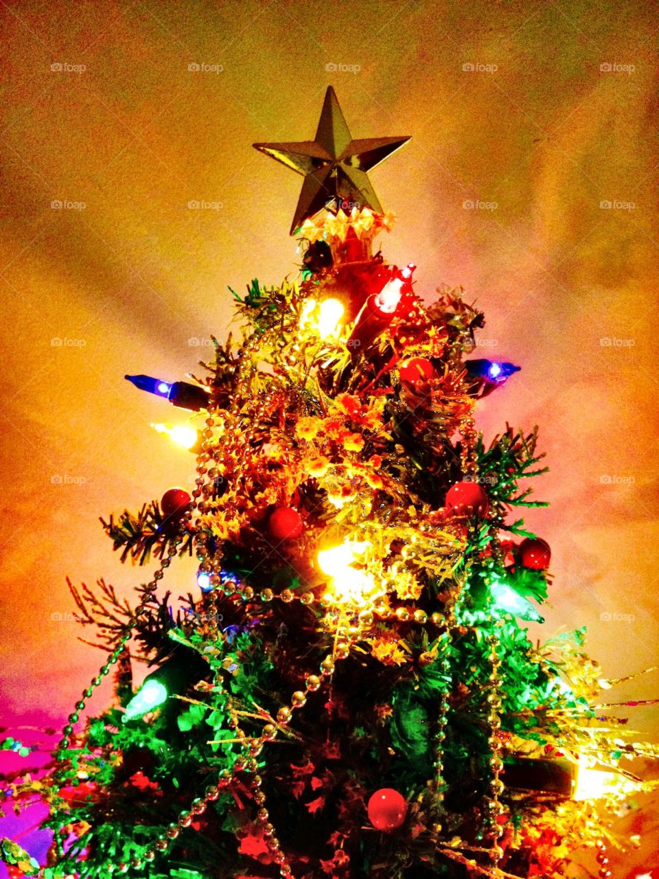 Christmas Tree with lights lit, reflecting shadows on wall, gold star & string beads decorations.
