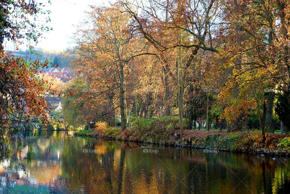 Autumn#colors#leaves