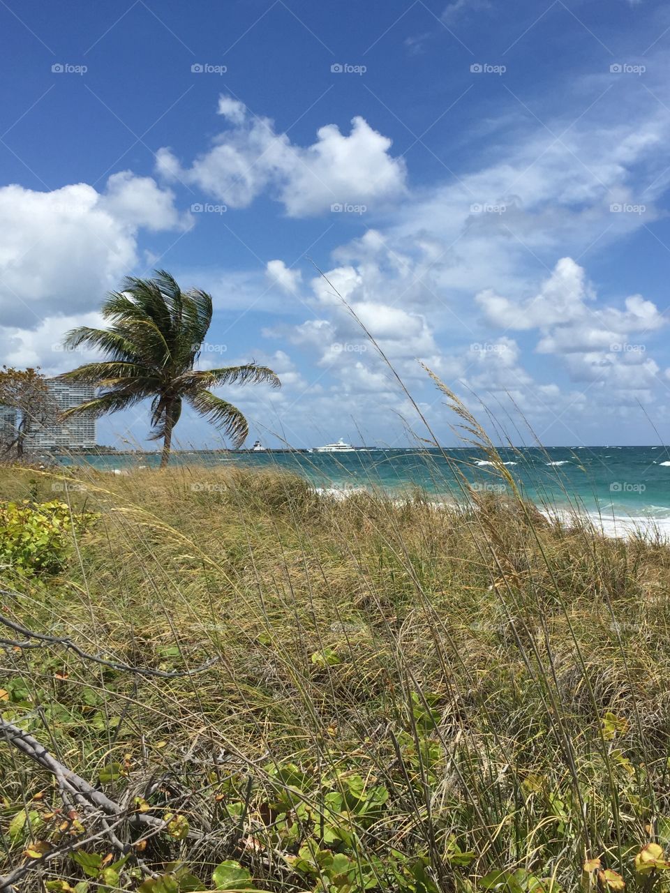 Mizelle-Johnson State Park