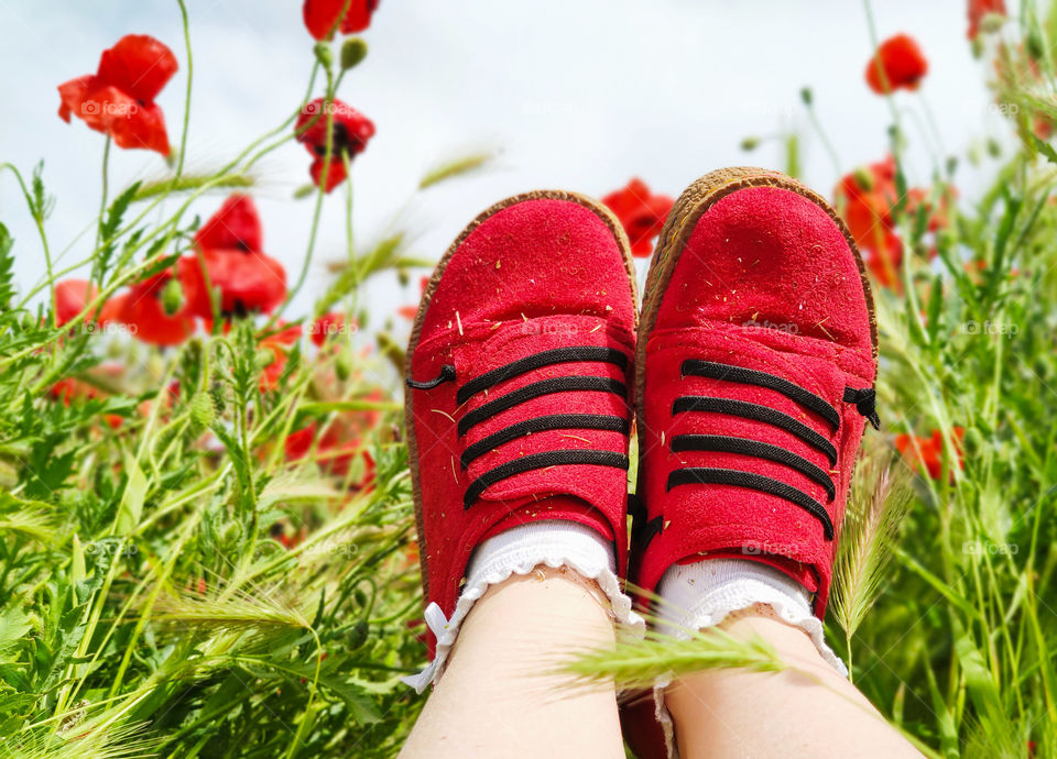 Poppy field and happy feet