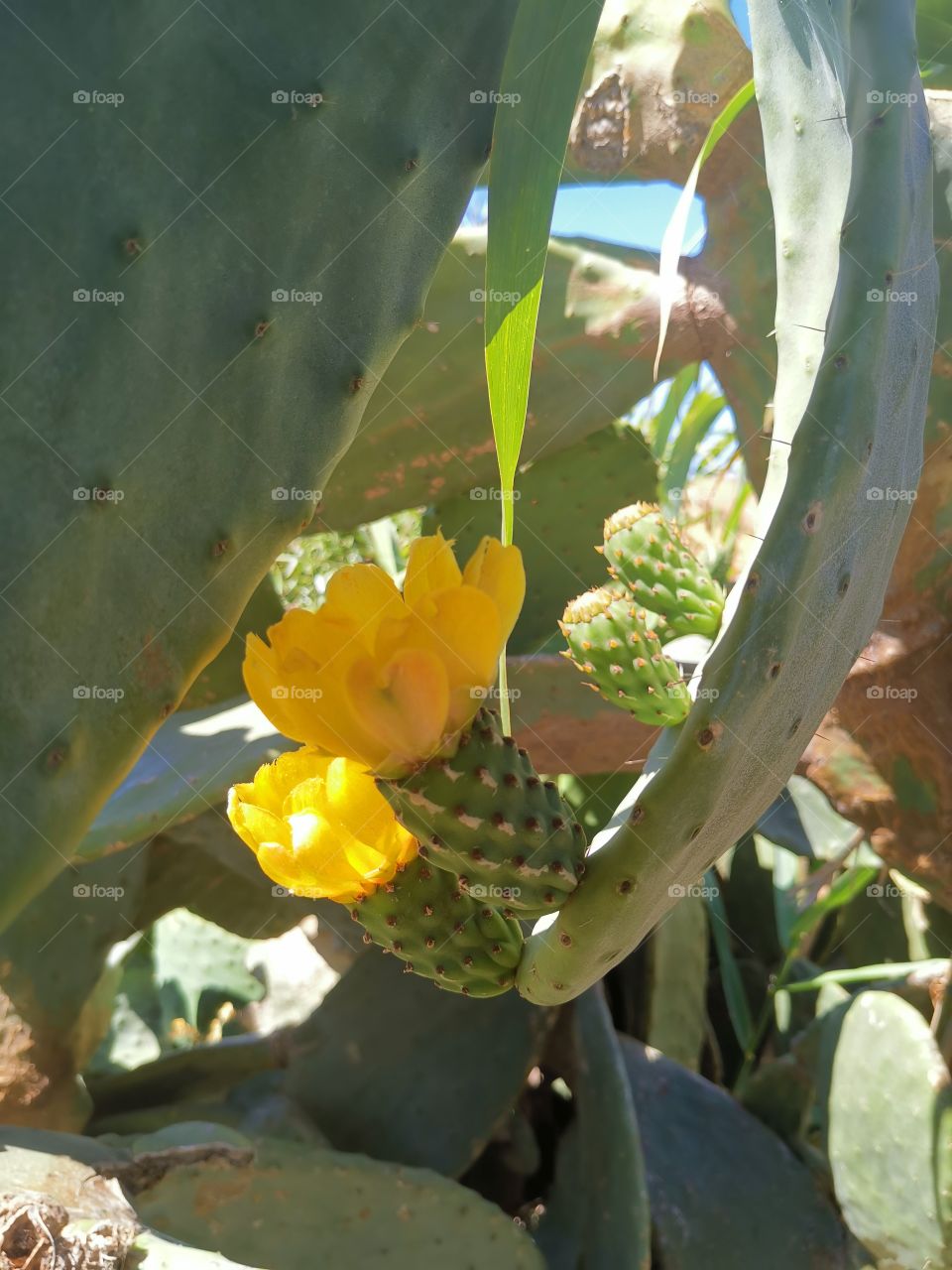 La gentilezza della natura