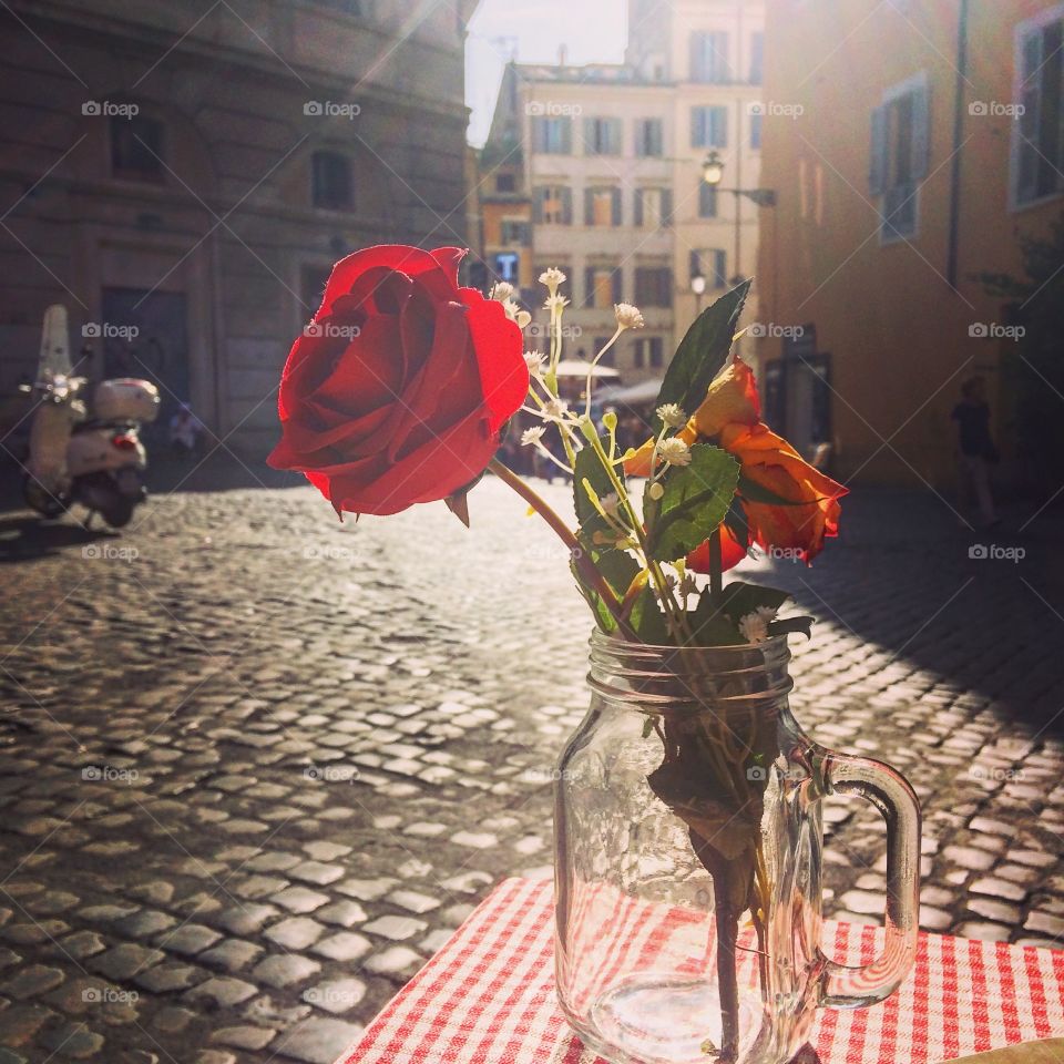 Rose on à table in Rome, Italy