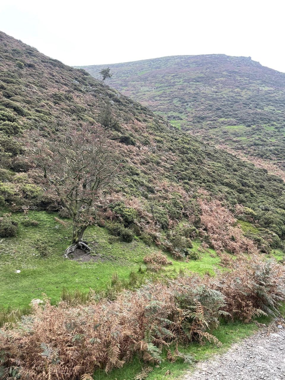 Steep climb walk but worth it for spectacular views of the Shropshire countryside 