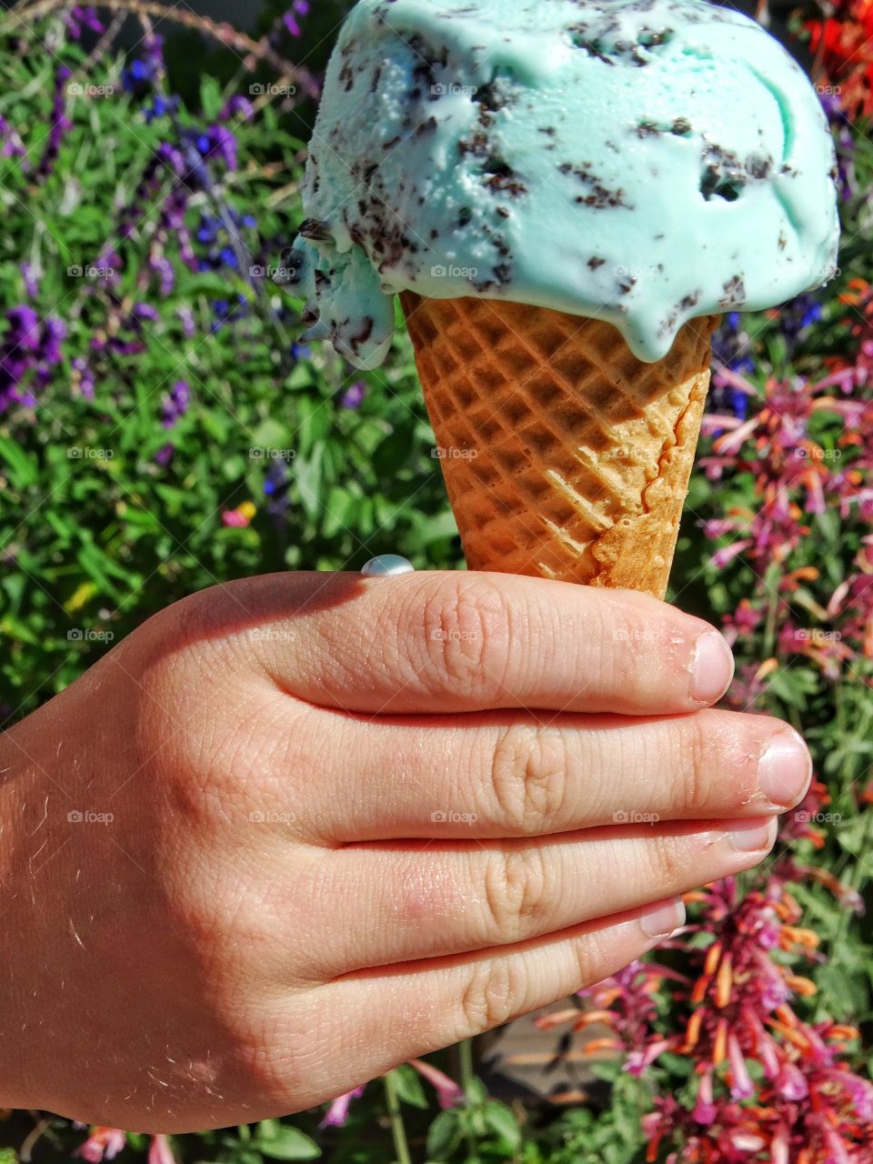 Hands Holding Ice Cream. Mint Chip Ice Cream Cone On A Hot Summer Day
