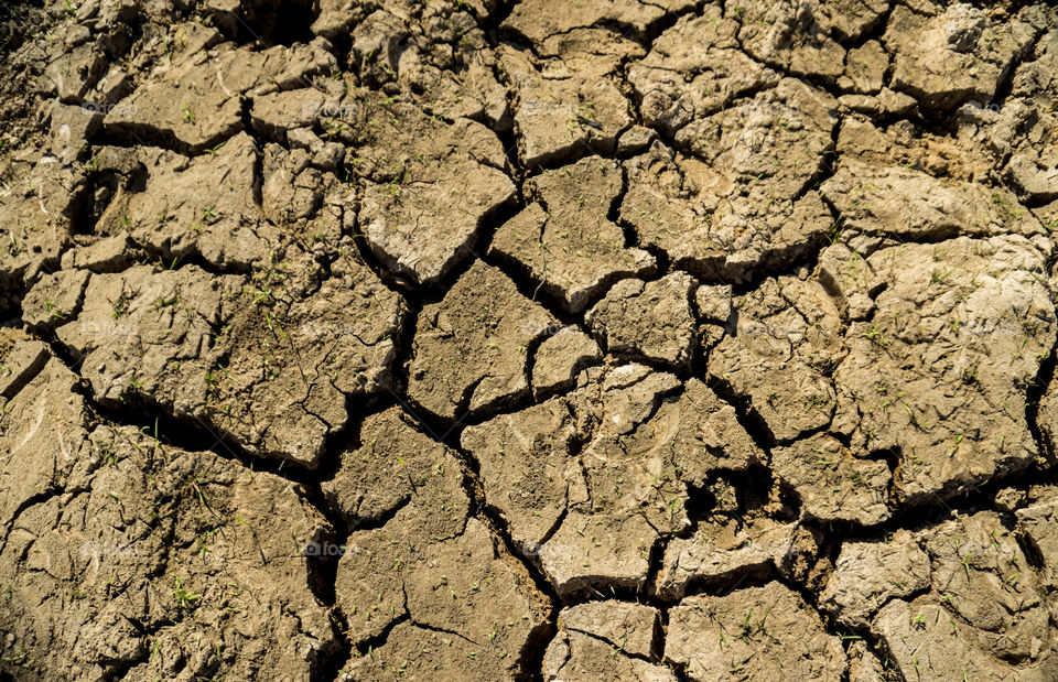 Drought, Arid, Wasteland, Mud, Desert