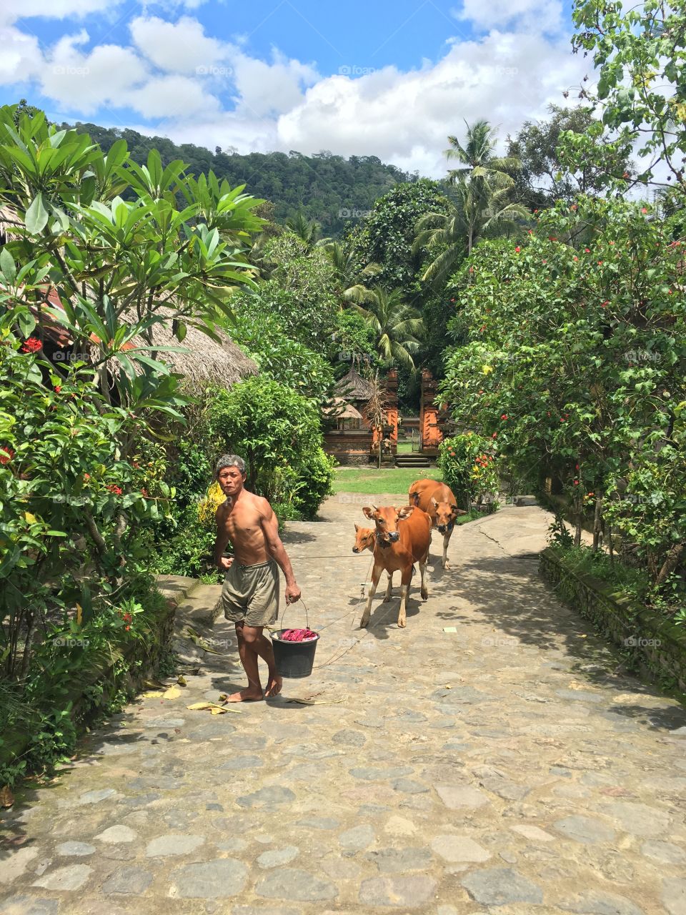 Indonesian village 