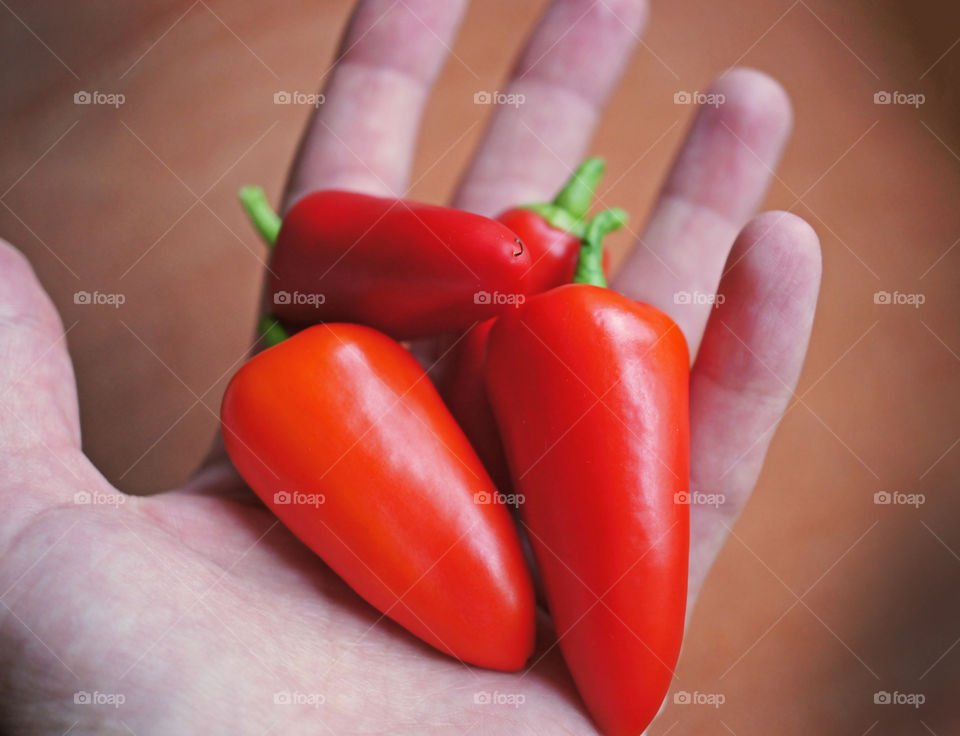 pepper, which I veratile at home on the windowsill