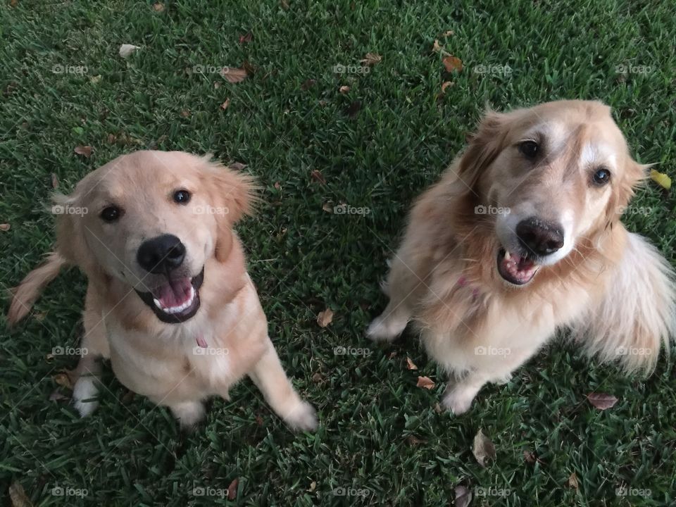 Summer Siblings
