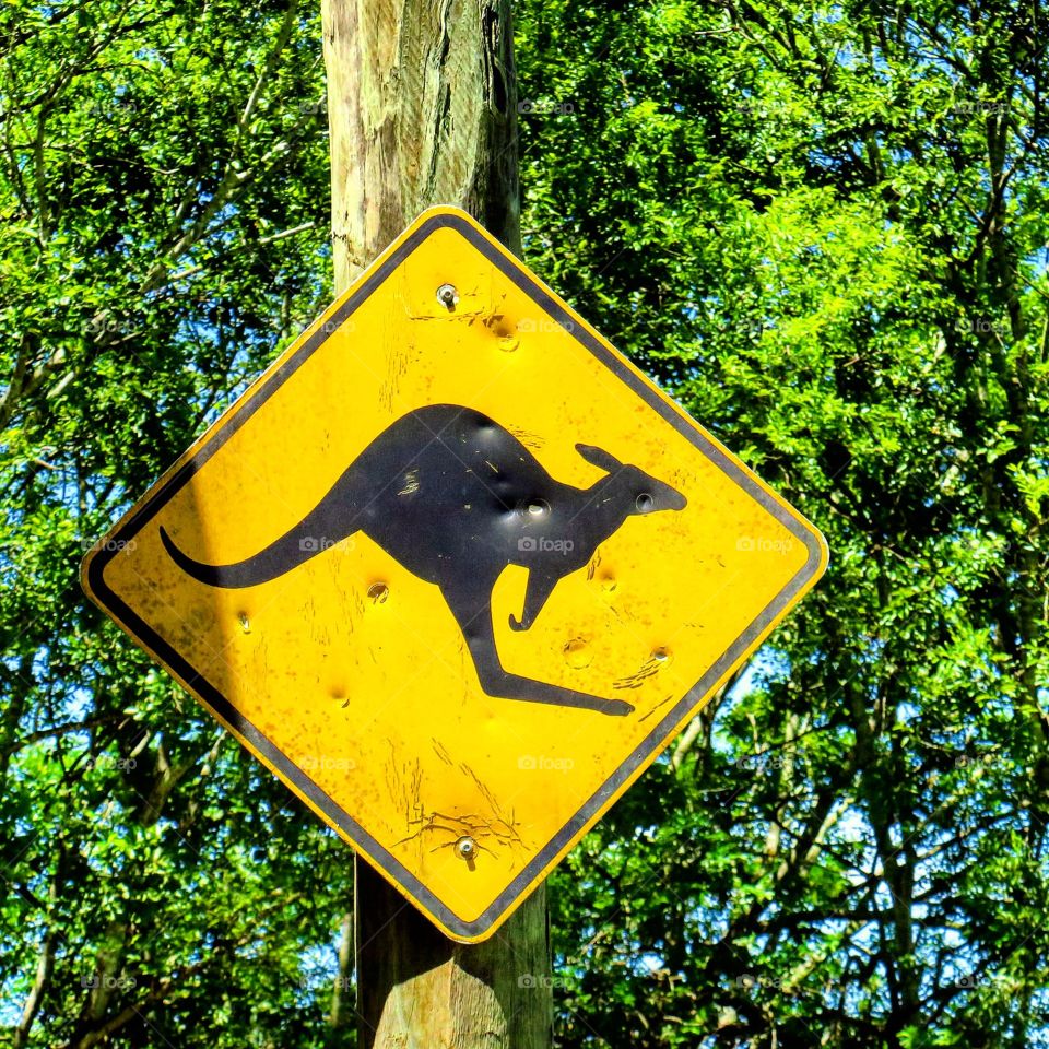 Beware of Kangaroo
