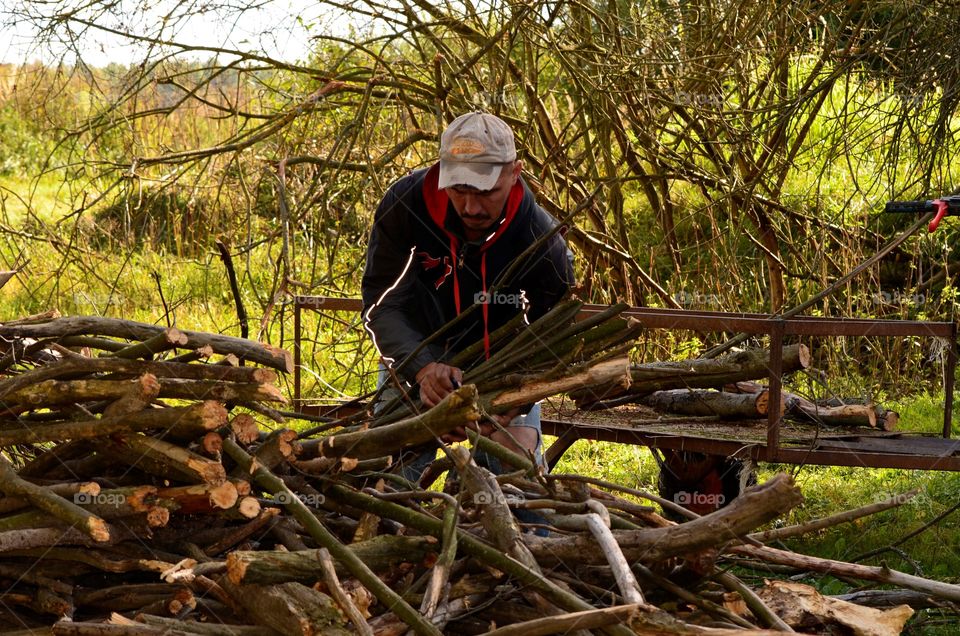 felling of brushwood