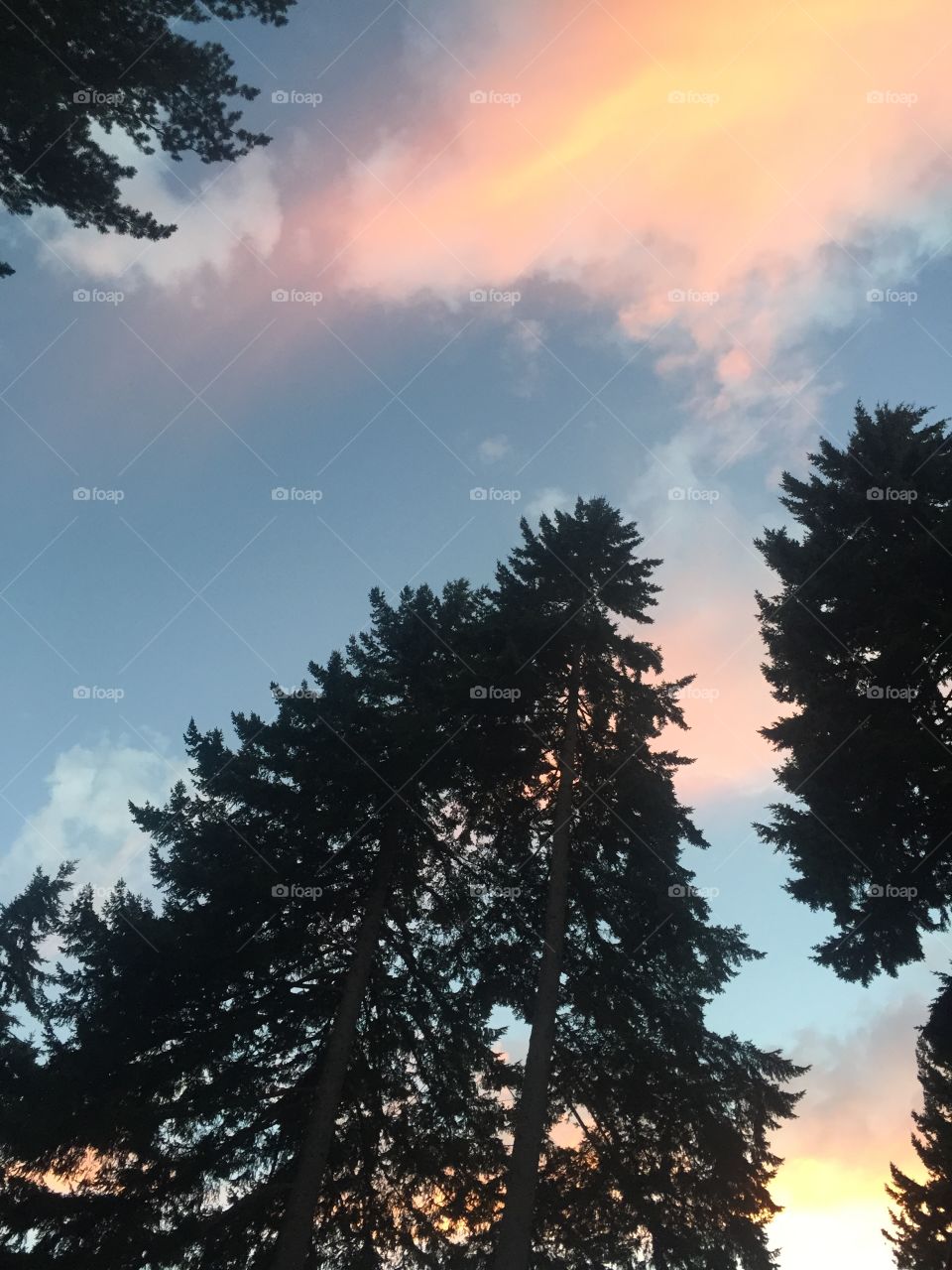 Things are looking up