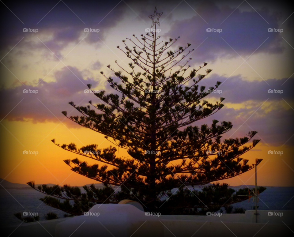 naxos tree christmas by giannak
