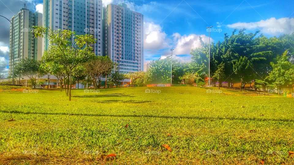 grama árvores prédio gama df