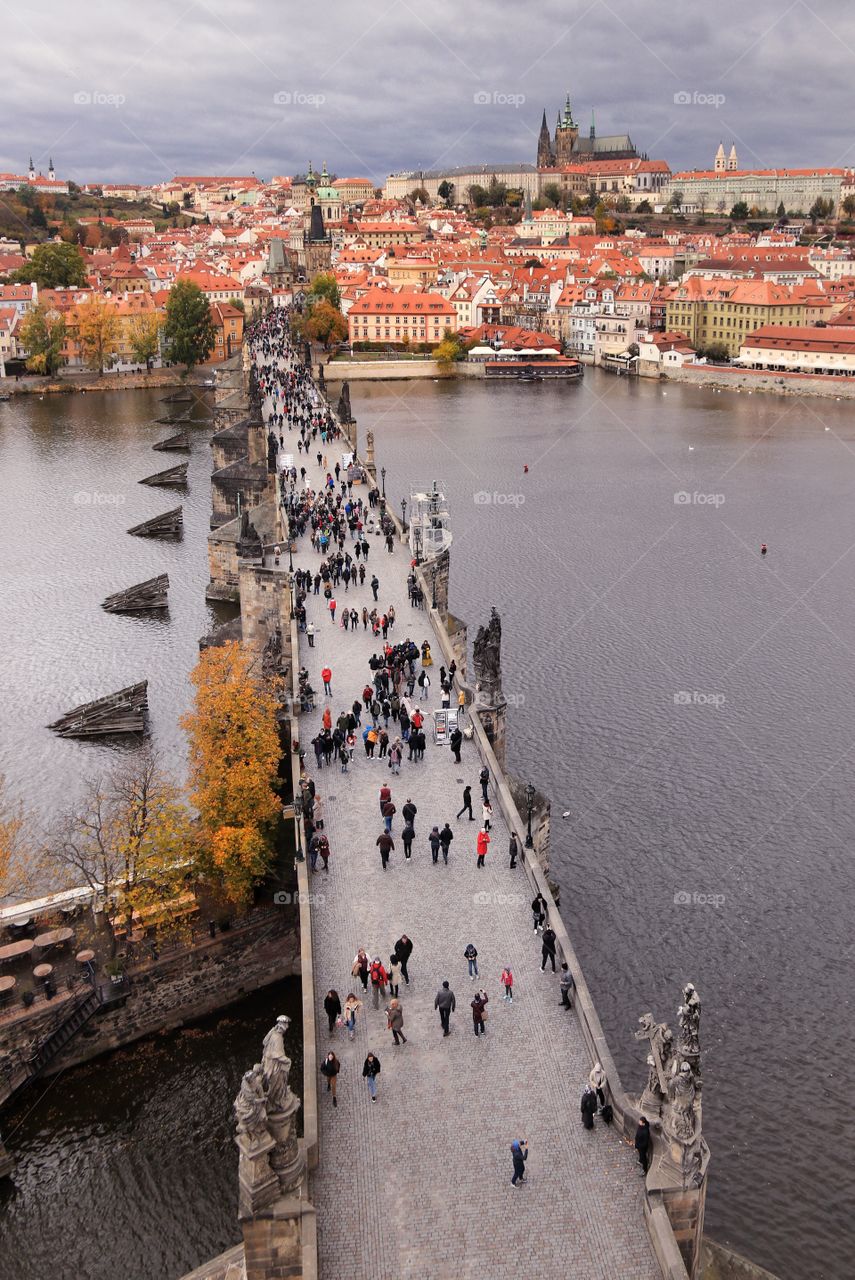 Bridge in the autumn city