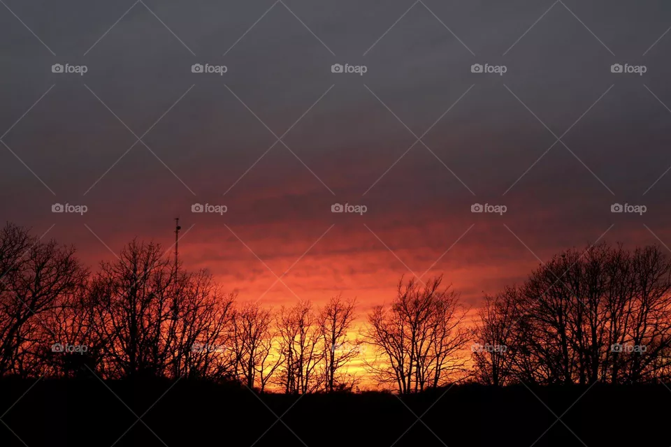 Fire sky 
