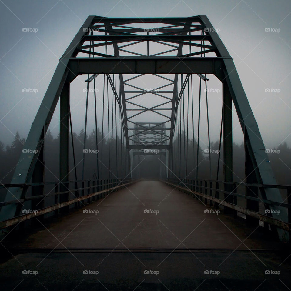 Bridge to dark scary forest