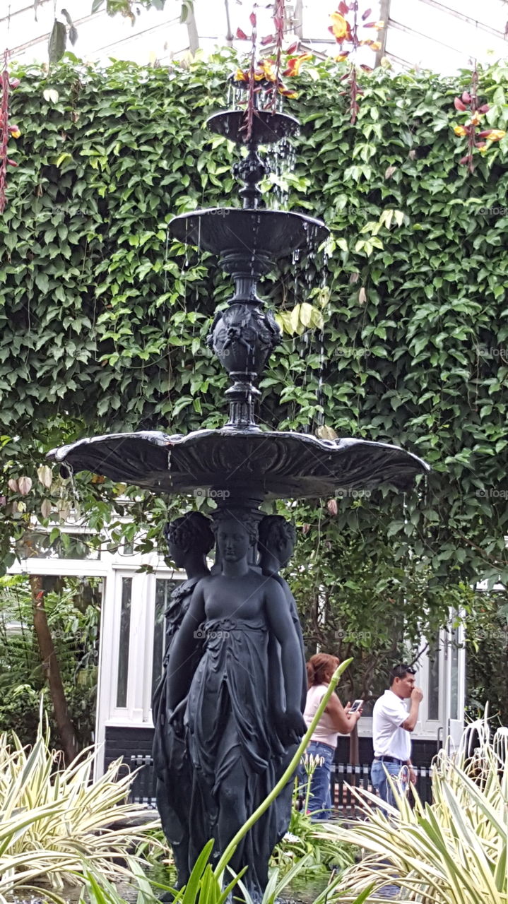 fountain