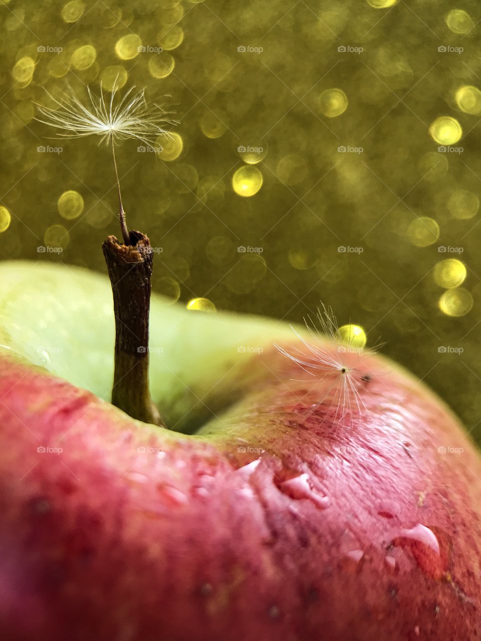 closeup, food, apple, fruit, dandelion seed