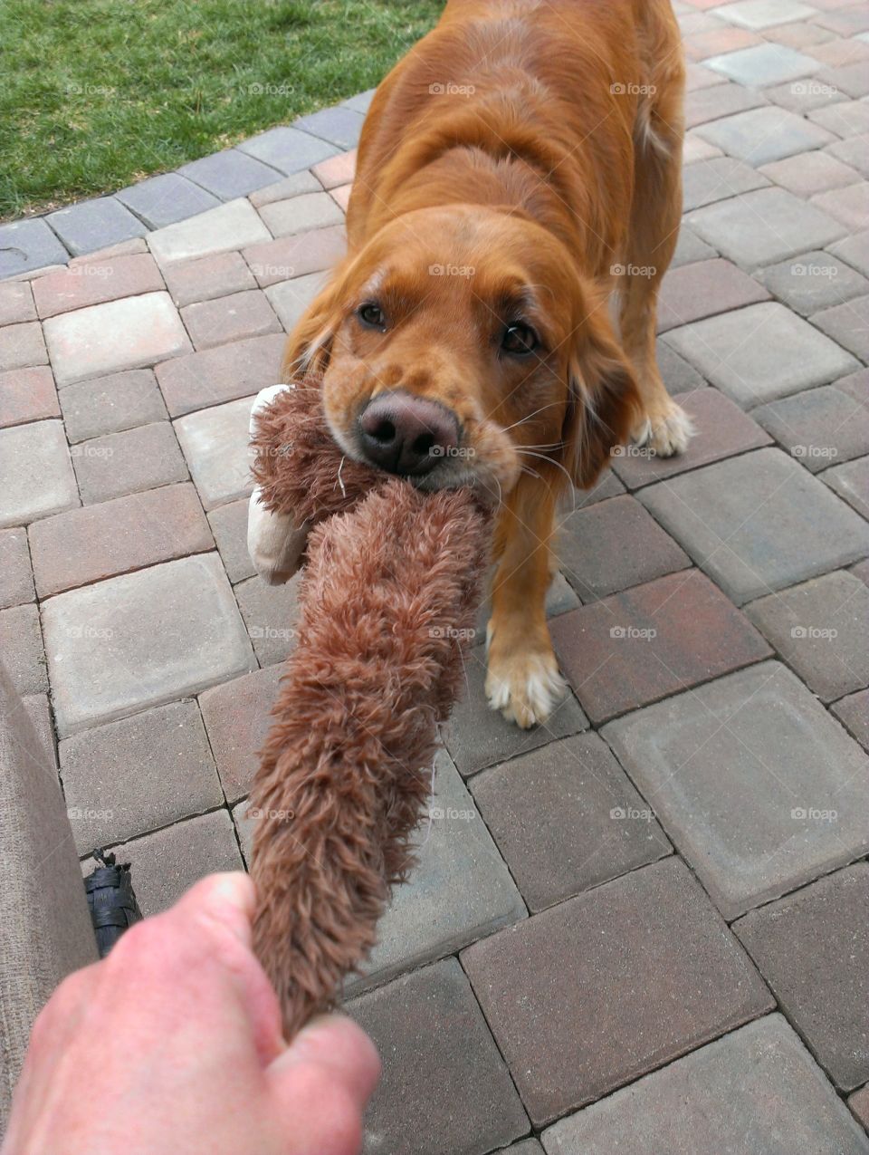 Tug of War