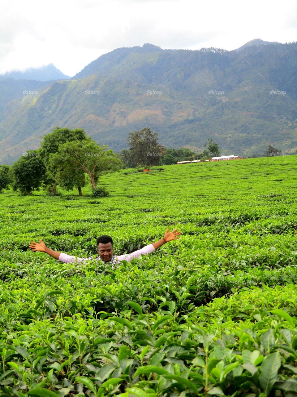Struggling Surprising Living Playing in Coffee Plantation Somewhere in Malawi